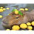 capybara emoji