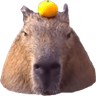 capybaraa emoji