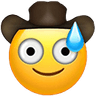 cowboy_mild_panic_attack emoji